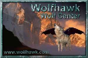 Visit the Wolfhawk Wolf Center