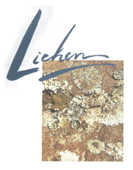 ��ह ��Ѻ��� 2 ���