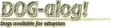 DOG-alog!