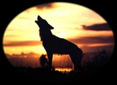 Singing Farewell to the Sun