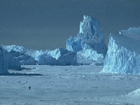 Iceberg