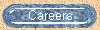 Careers