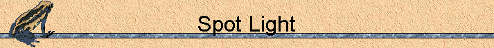 Spot Light