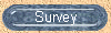 Survey