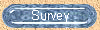 Survey