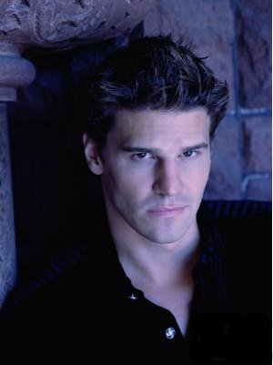 David Boreanaz Online