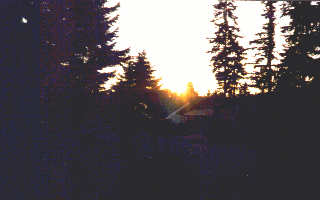 The Force is with her