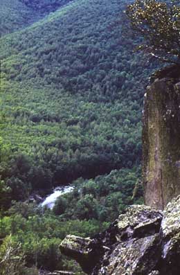 WEB-���� ������ ��������������� � ��������� ��� TopoL