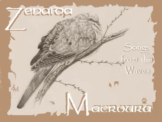 Illustration & Design by � Chip_tg