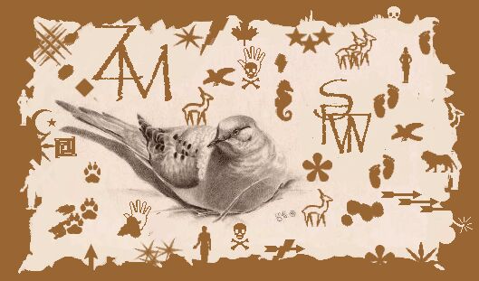 Illustration & Design by � Chip_tg