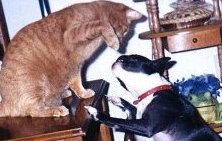 Rosalee's Friends and Family