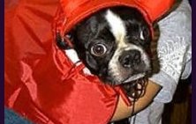 Rosalee's Many Outfits