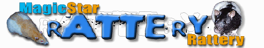 Click here to visit MagicStar Rattery based in Sydney Australia.