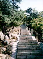 steps