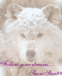 SnowStar