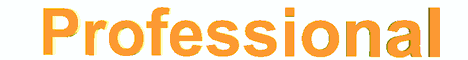 professional.gif (3904 bytes)