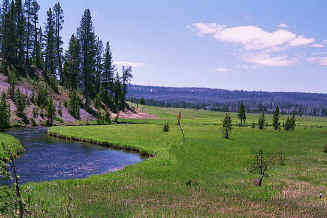 beautiful.jpg (67310 bytes)