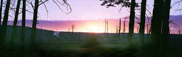 sunset1.jpg (33650 bytes)