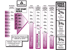The Morinda Marketing Plan