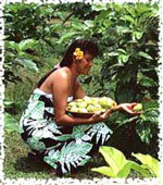 ../product/Morinda%20Products