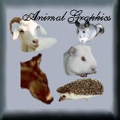 Animal Graphics Ring