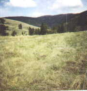 Deemer02.jpg - 5865 Bytes