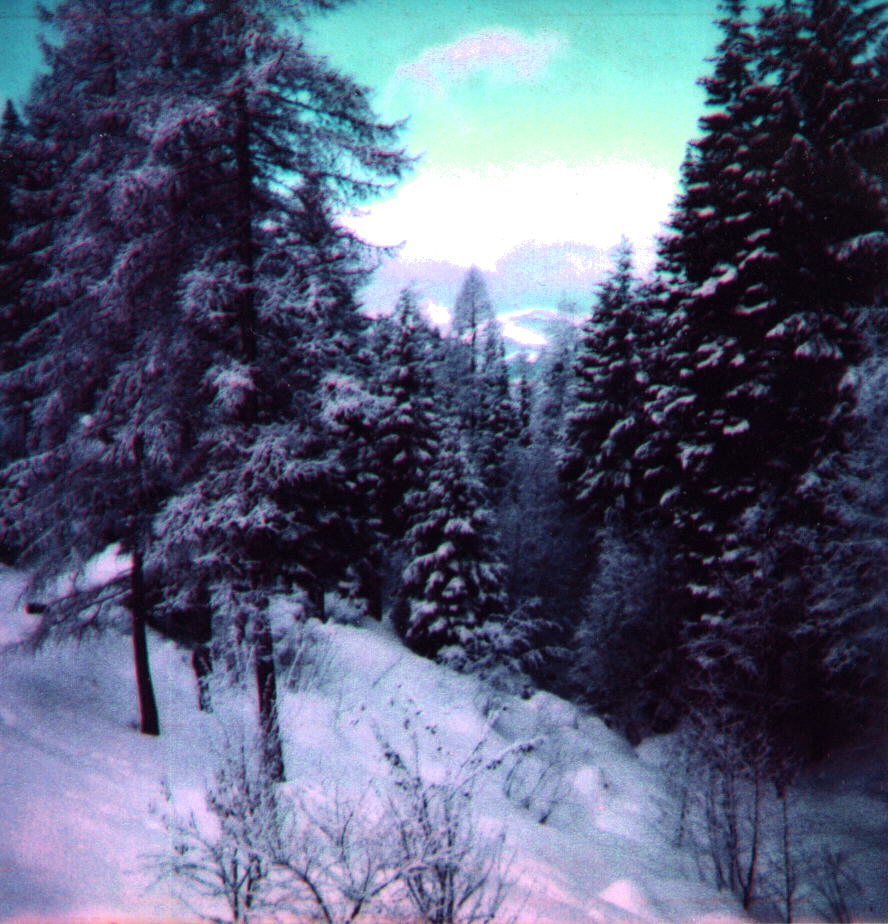 Fromdeck.jpg - 152284 Bytes