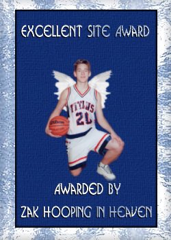 Zak's Award Of Excellence