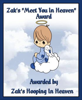 Zak's Meet You In Heaven Award