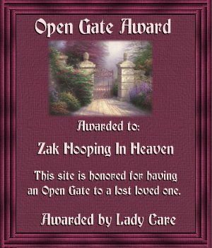 Lady Care's Award