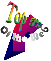 Top 5% Of The Web Award