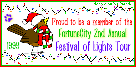 Fortune City Festival of Lights Tour Member 1999