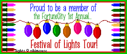 Fortune City Festival of Lights Tour Member 1998