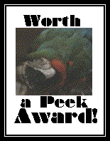 Worth a Peek Award, 1997 to SkyDancer