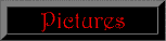 Pictures