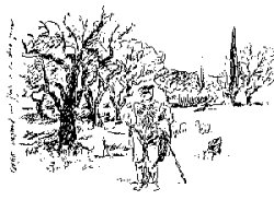 ����������  ��������