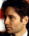 Fox Mulder