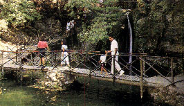 North-West Rhodes...from the coast to the magic of inland Rhodes.