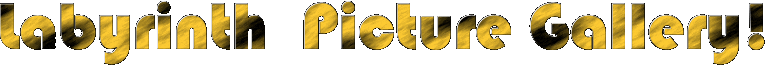 Labyrinth Picture Gallery Logo!
