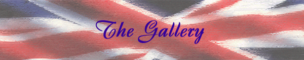 Neil Pearson's gallery banner