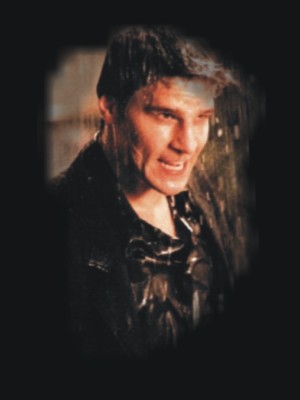 davidbio.jpg (14173 bytes)