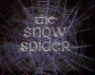 The Snow Spider