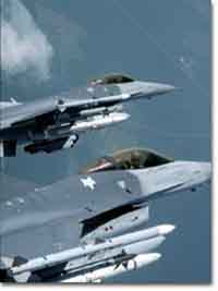 zf16-2.jpg (11321 bytes)