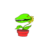 man eating plant