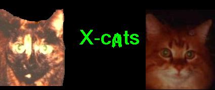 fellennium x-cat envoys Missie and Ginger