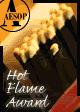 Hot Flame Award!- June 1999