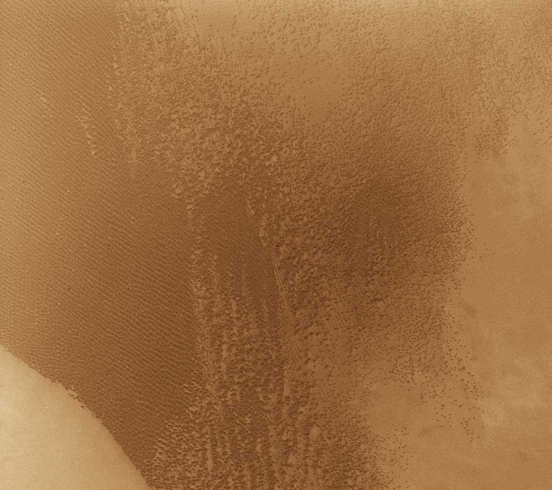 dune1.jpg (121847 bytes)