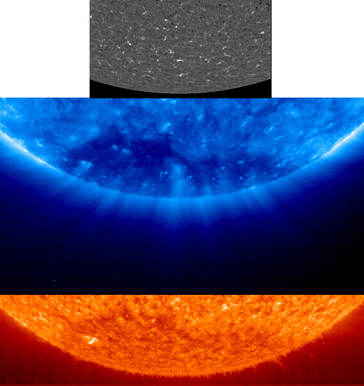 plrplms.jpg (119594 bytes)