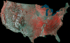 usa.gif (558476 bytes)
