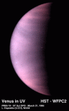 venus95.gif (102377 bytes)